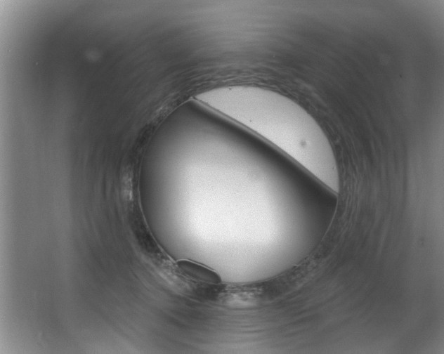 X0000063490368200601201057