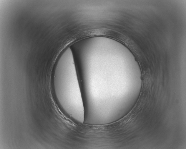 X0000063490386200601201056