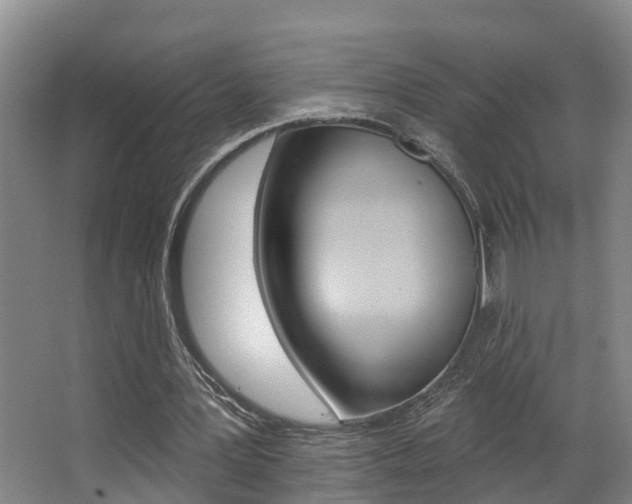 X0000063490387200601201056
