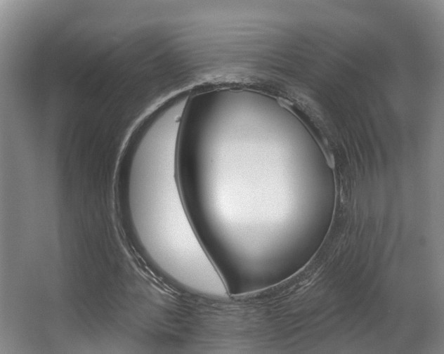 X0000063490388200601201056