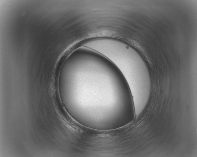 X0000063490392200601201056