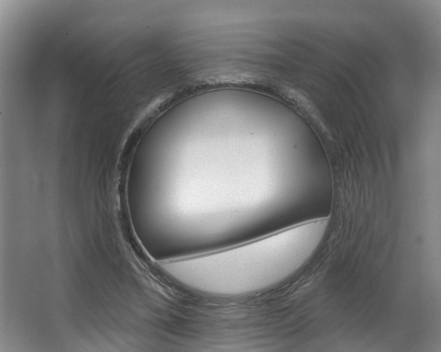 X0000063490395200601201056
