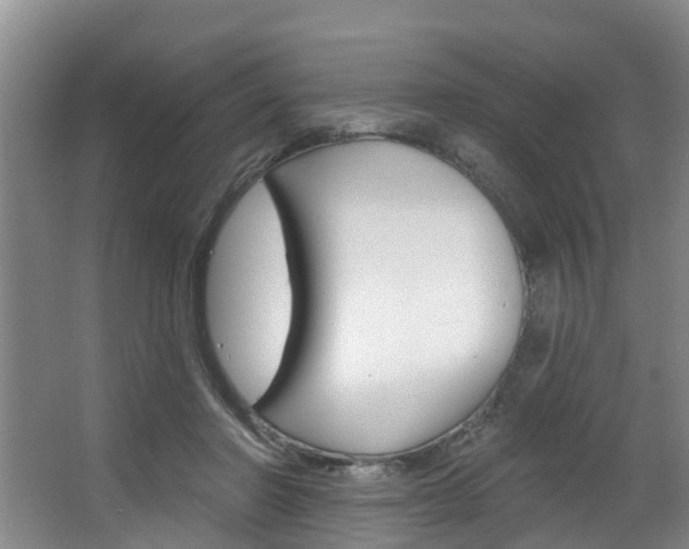 X0000063490406200601201056