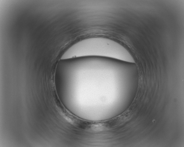 X0000063490411200601201056