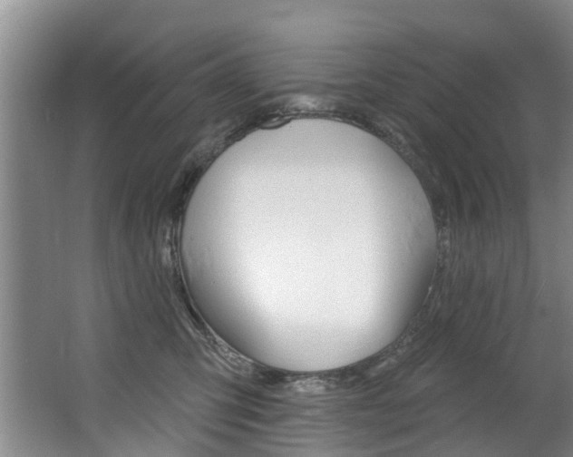 X0000063490423200601201056