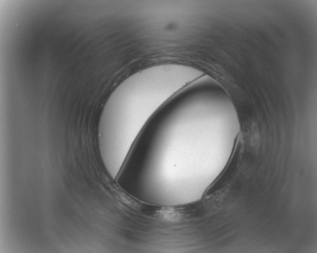 X0000063490425200601201056