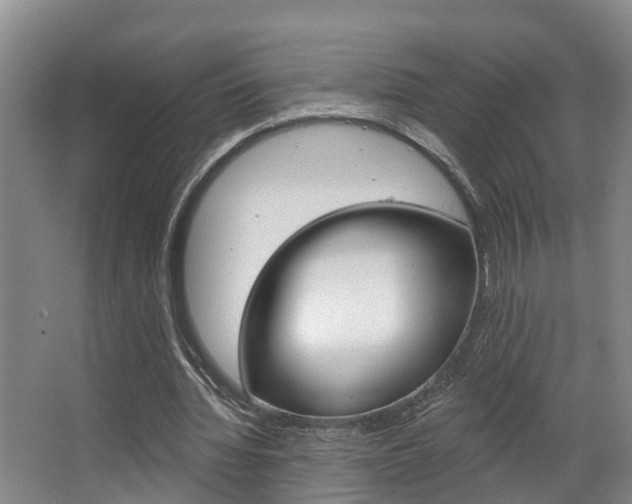 X0000063490436200601201055