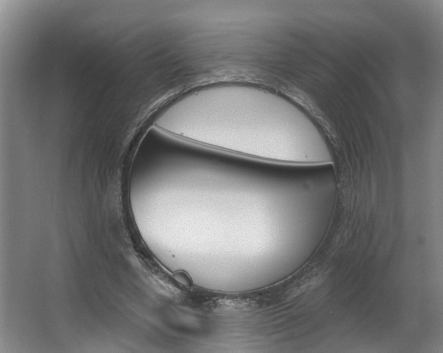 X0000063490442200601201055
