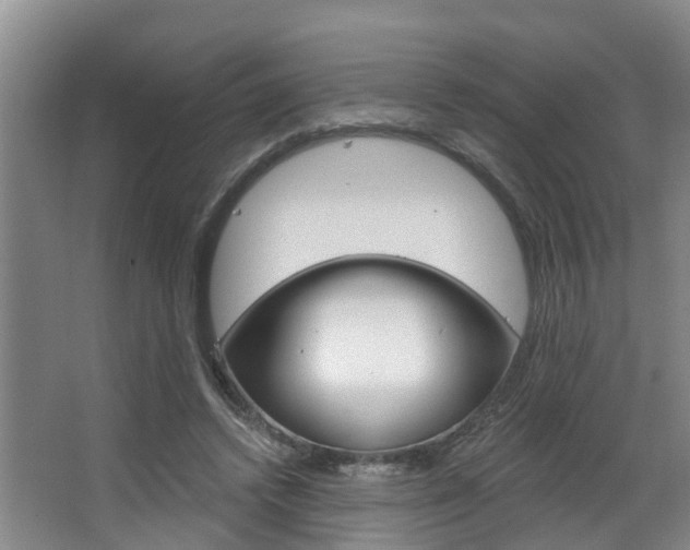 X0000063490448200601201055