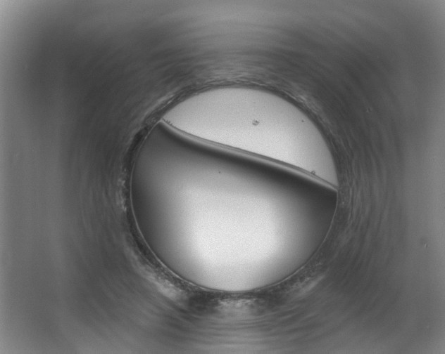 X0000063490450200601201055
