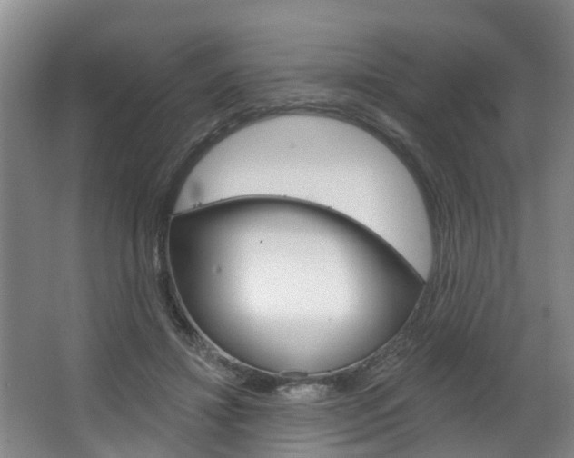 X0000063490452200601201055