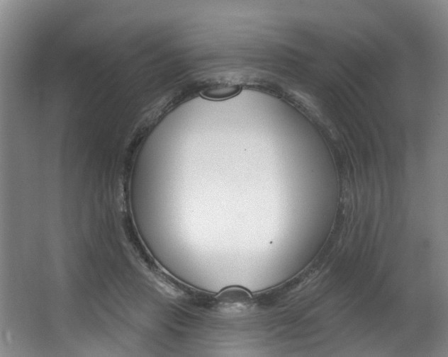 X0000063490453200601201055
