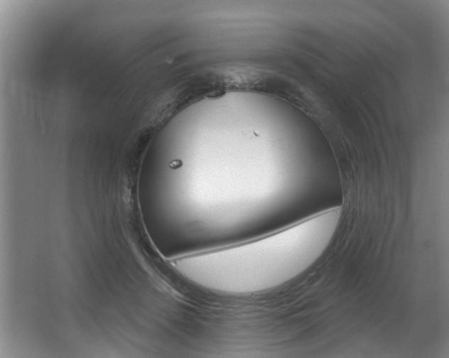X0000063490456200601201055