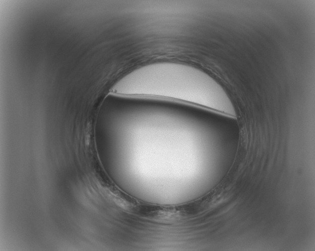 X0000063490458200601201055