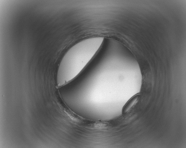 X0000063490462200601201055