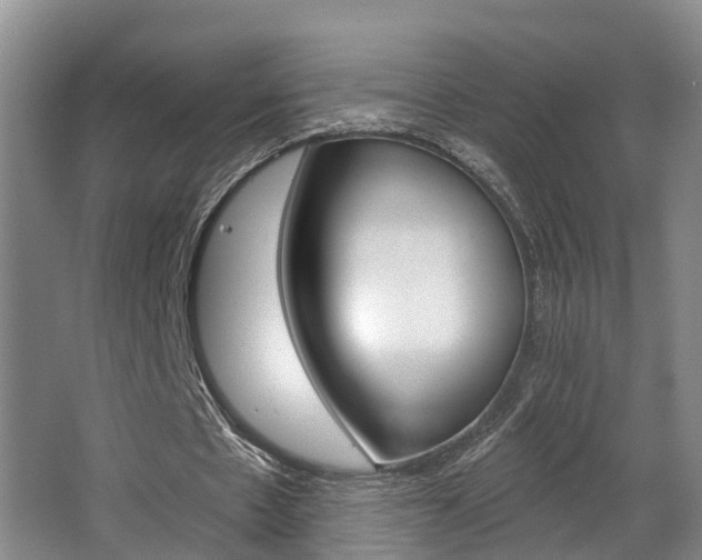 X0000063490481200601201055