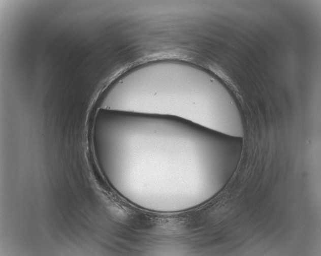 X0000063490486200601201055