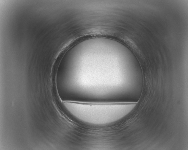 X0000063490488200601201055
