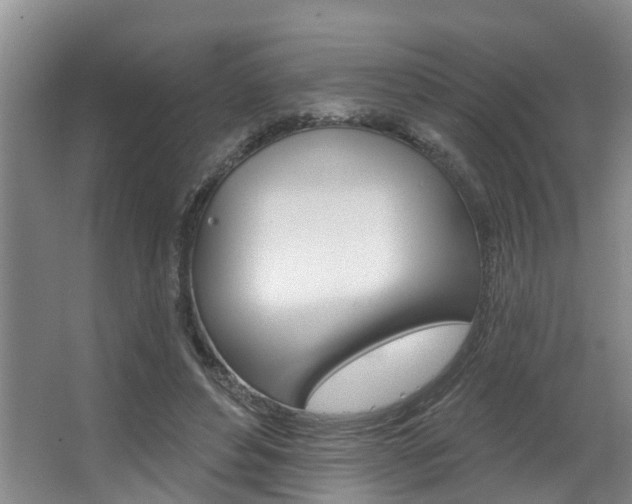 X0000063490496200601201055