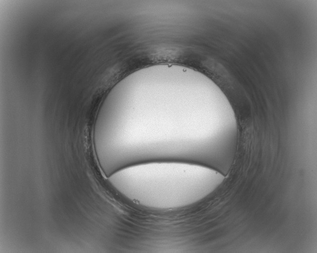 X0000063490498200601201055