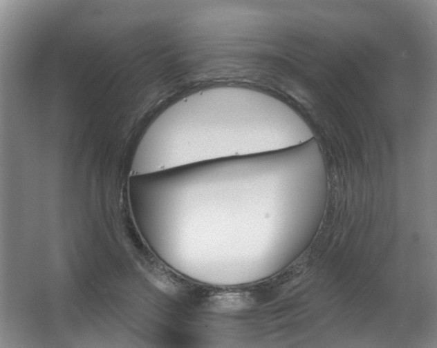 X0000063490499200601201055