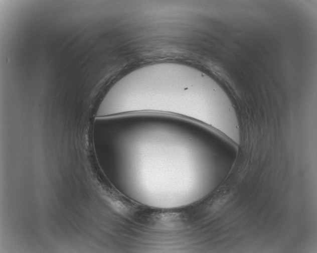 X0000063490501200601201054
