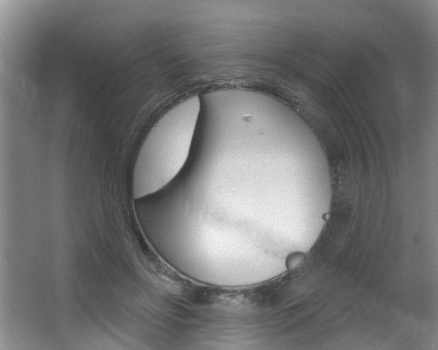 X0000063490502200601201054