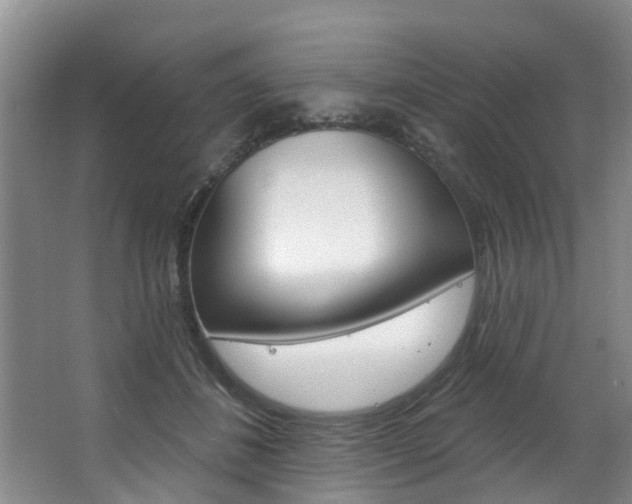X0000063490508200601201054