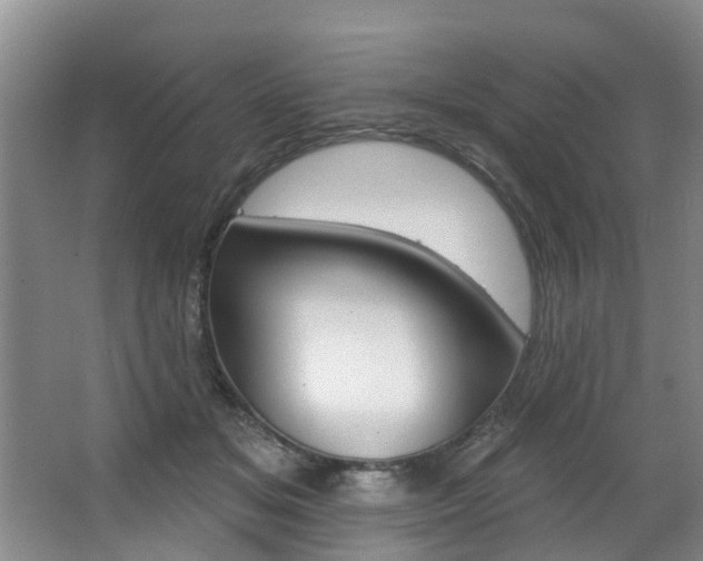 X0000063490509200601201054