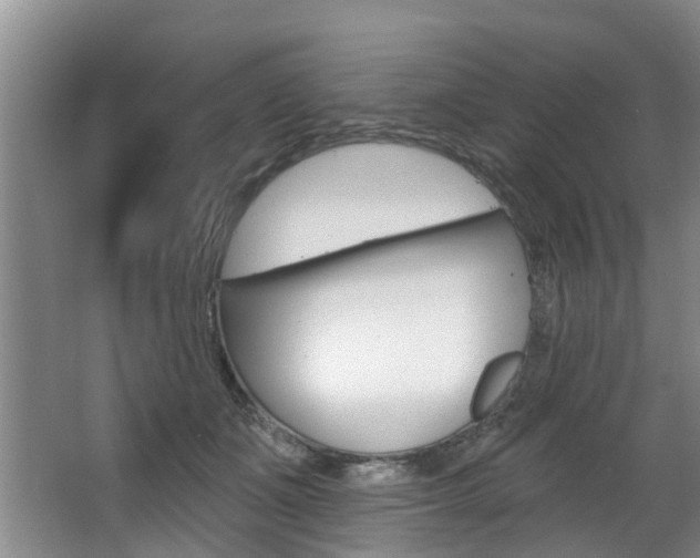 X0000063490511200601201054