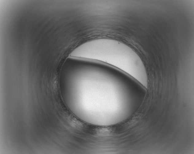 X0000063490513200601201054
