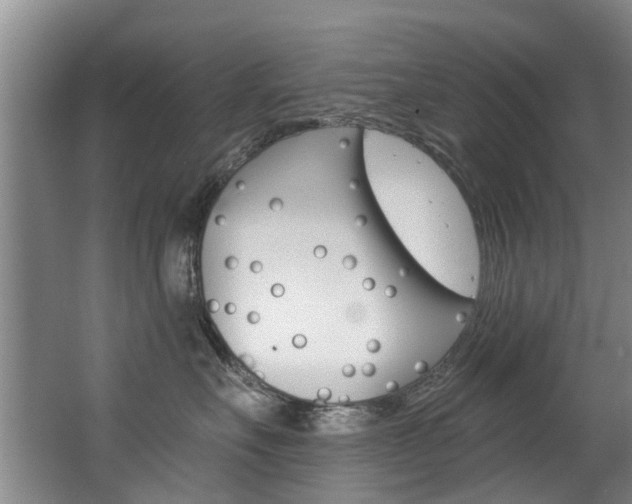 X0000063490527200601201054