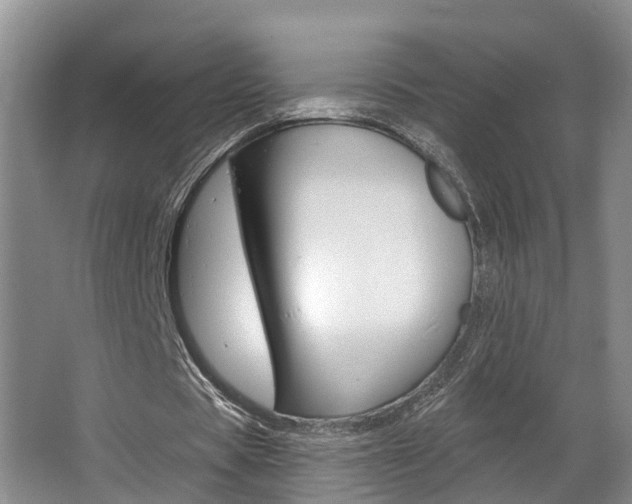 X0000063490529200601201053