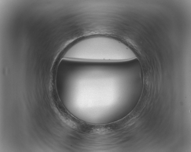 X0000063490540200601201053