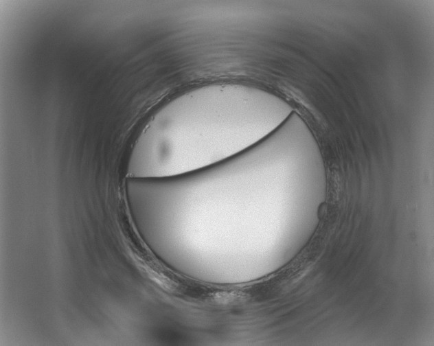 X0000063490541200601201053