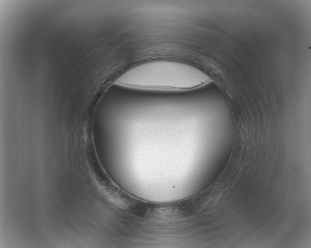 X0000063490546200601201053