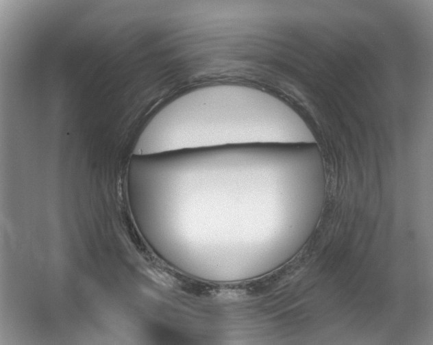 X0000063490549200601201054