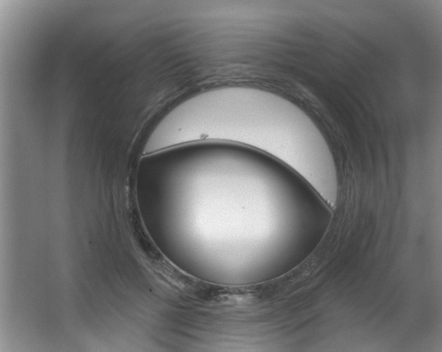 X0000063490552200601201054