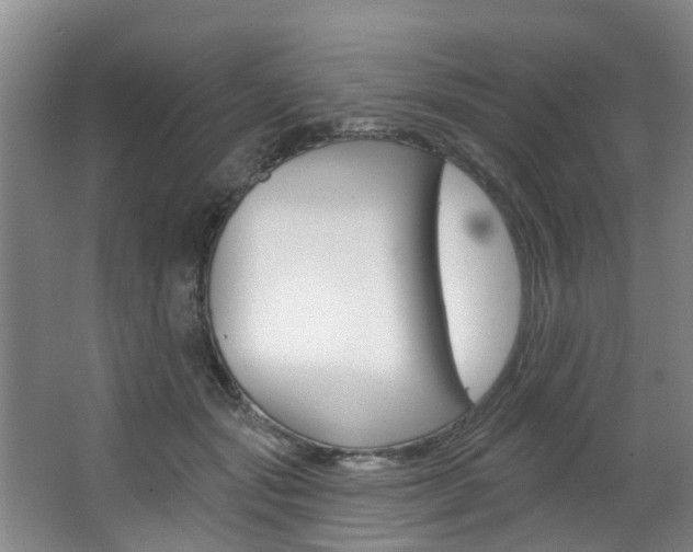 X0000063490557200601201054