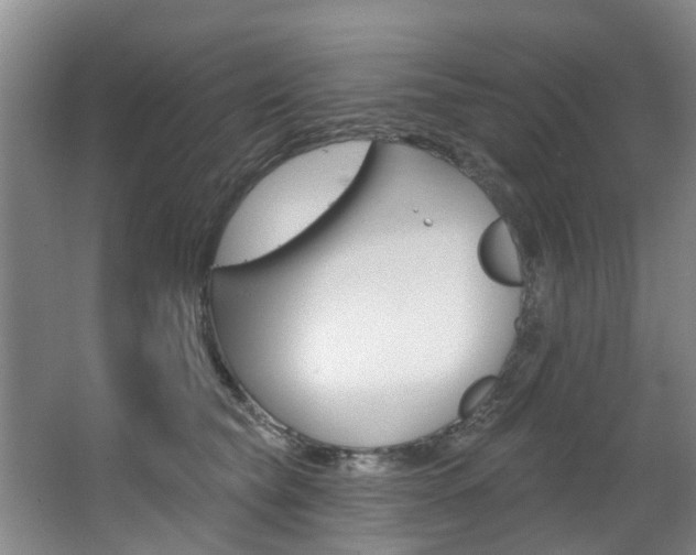 X0000063490565200601201054