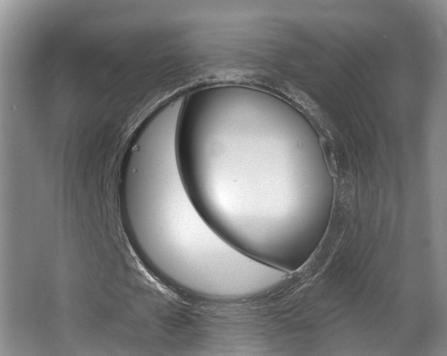 X0000063490577200601201053