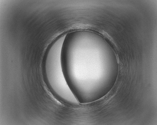 X0000063490581200601201053