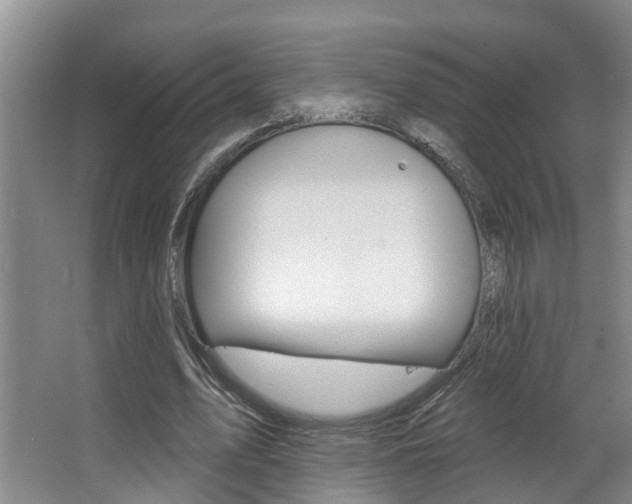 X0000063490583200601201053