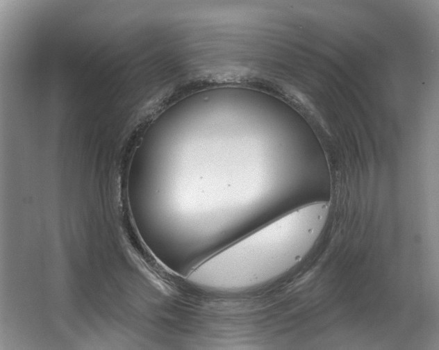 X0000063490589200601201053