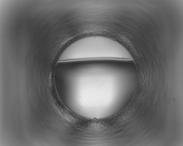 X0000063490596200601201053