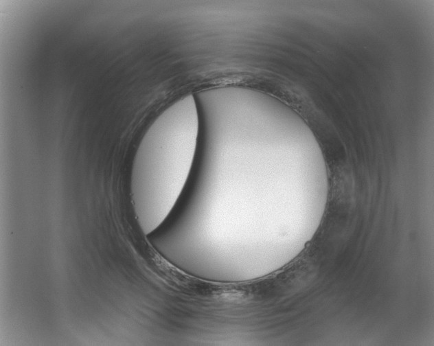 X0000063490598200601201053