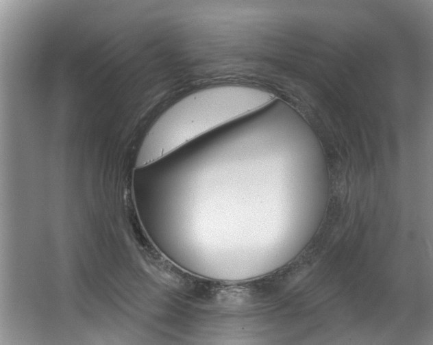 X0000063490599200601201053