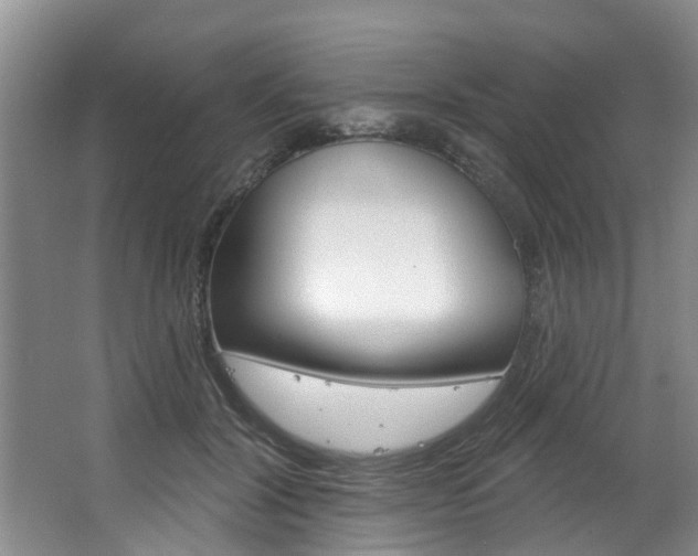 X0000063490604200601201053