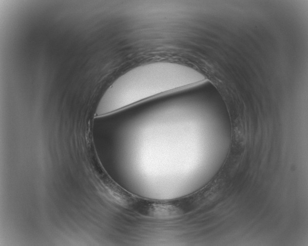 X0000063490605200601201053