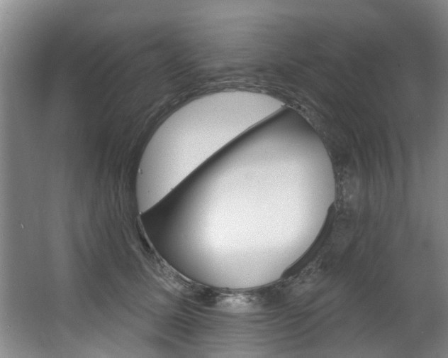 X0000063490611200601201053